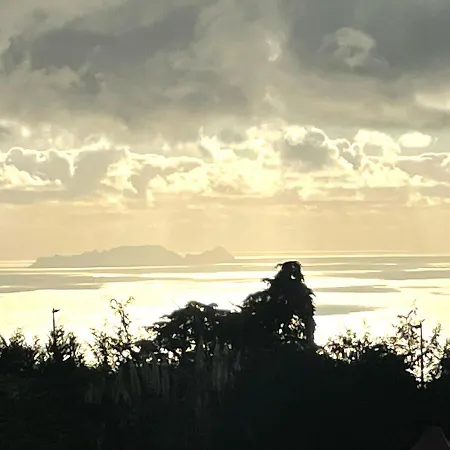 Quinta Faias * Camacha (Madeira)