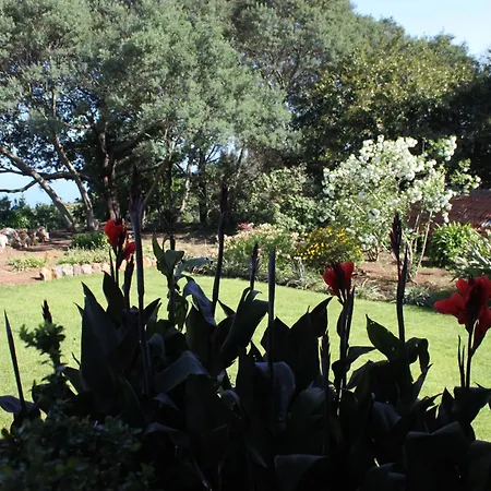 Quinta Faias Country house Camacha (Madeira)