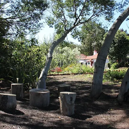 Quinta Faias Country house *