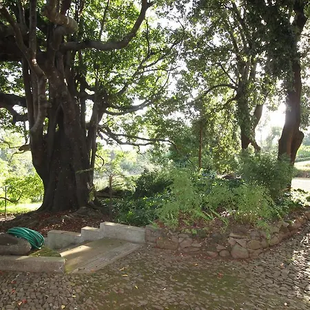 Quinta Faias