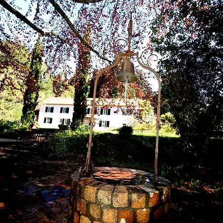 Quinta Faias Lantställe Camacha (Madeira)