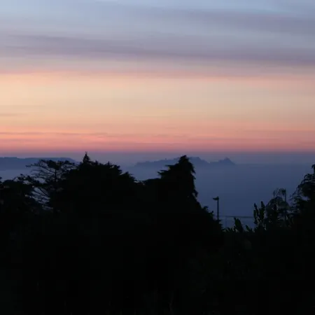 Quinta Faias Camacha (Madeira)