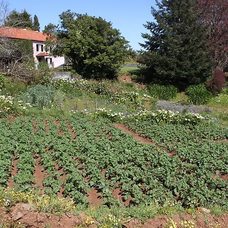 Country house Quinta Faias
