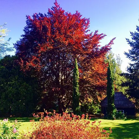 Quinta Faias Country house Camacha (Madeira)