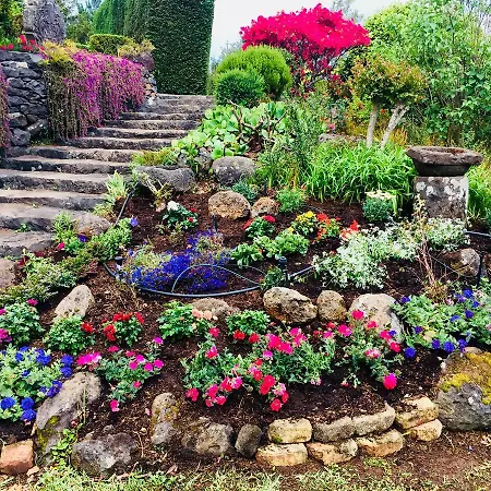 Lantställe Quinta Faias