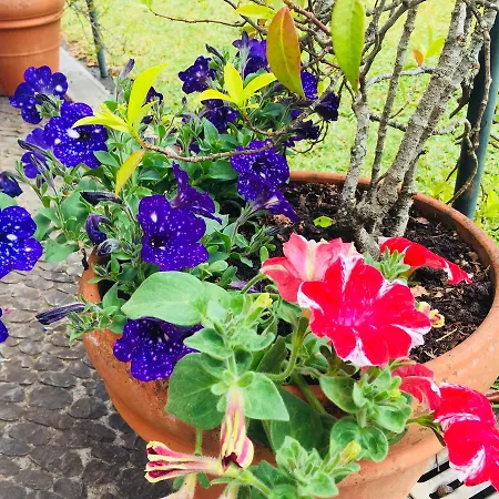 Quinta Faias