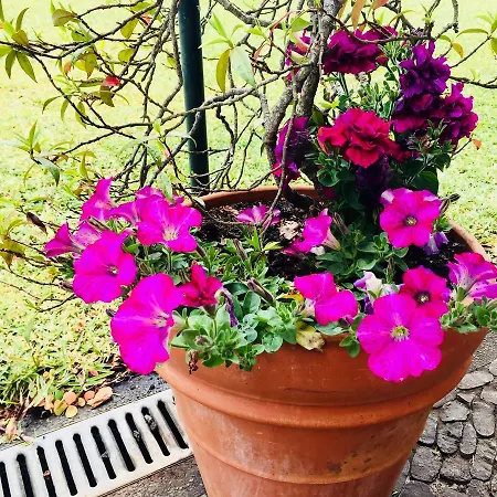 Gospodarstwo wiejskie Quinta Faias Camacha (Madeira)