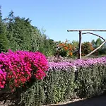 Quinta Faias Country house