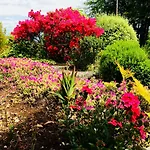 Quinta Das Faias