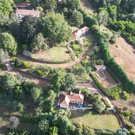 Quinta Faias * Camacha (Madeira)
