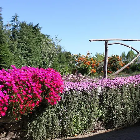 Quinta Faias Kır Evi
