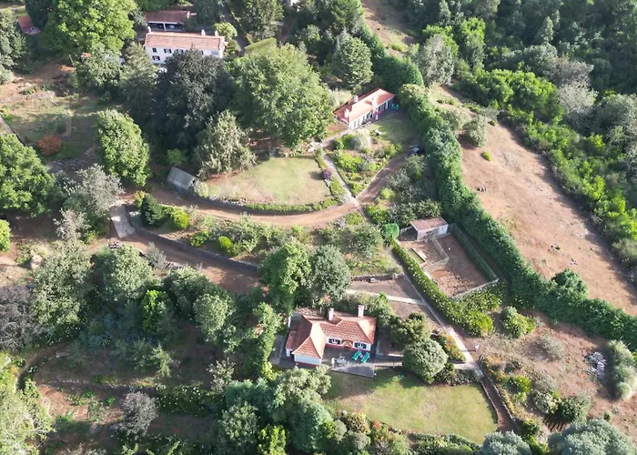 Quinta Das Faias * Camacha (Madeira)