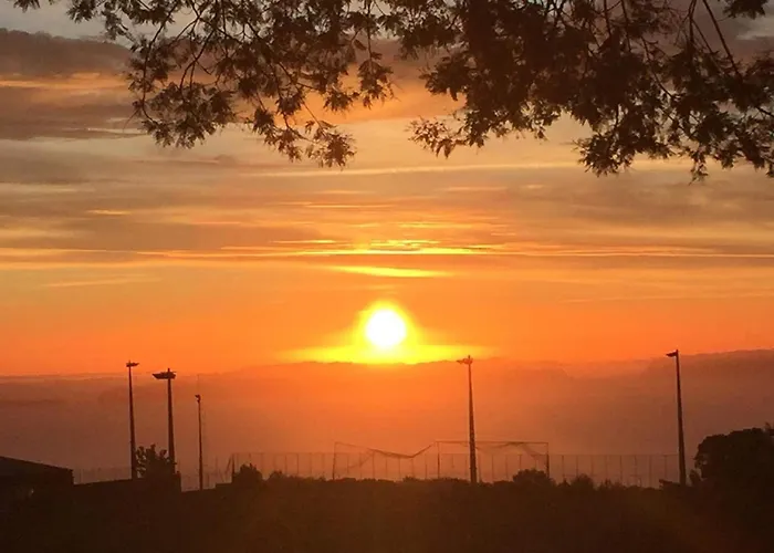 Quinta Das Faias Camacha (Madeira)