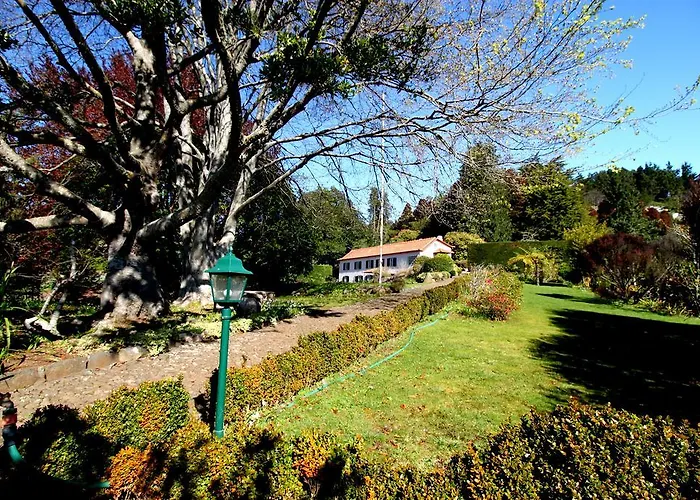 Quinta Das Faias Venkovský dům Camacha (Madeira)