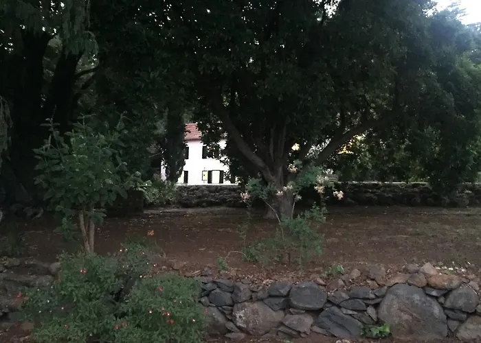 Quinta Das Faias Camacha (Madeira)