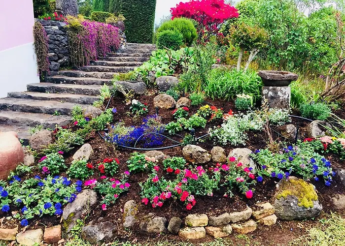 Venkovský dům Quinta Das Faias